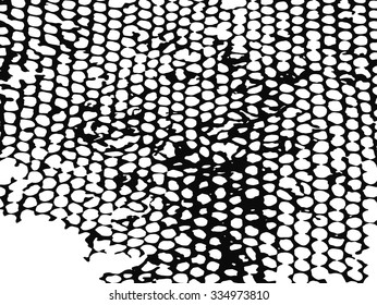 Basis for honey texture background