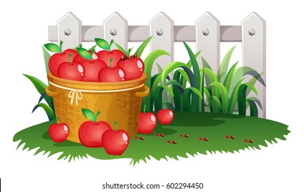 Basket of apples in garden illustration