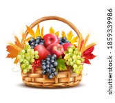 Basket with apples, grapes and wheat ears decorated with autumn leaves. Isolated on white. Vector illustration.