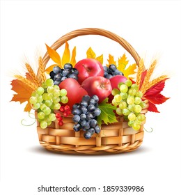 Basket with apples, grapes and wheat ears decorated with autumn leaves. Isolated on white. Vector illustration.