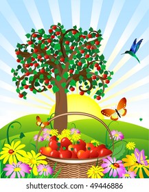 basket of apples in the meadow