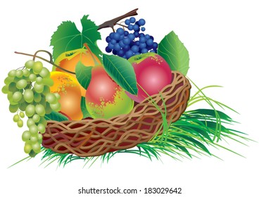 Basket with apples, pears and grapes