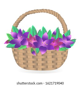 Basket with beautiful purple flowers. Vector illustration. Image for design and decor.
