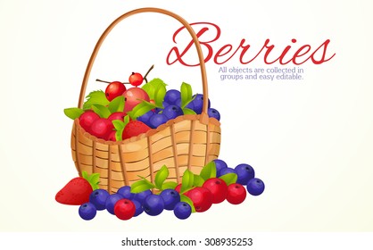 Basket berries, harvest berries, bunch, berry