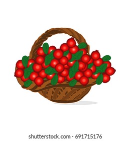 Basket of berry with cranberries isolated on white. Natural food.