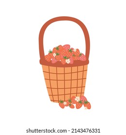 Basket Berry Illustration. Cute Basket With Strawberry Isolated Graphic Element On White. Hand Drawn Summer Organic Berry Illustration. Fresh Berries In Basket, Vector Summer Organic Farm Symbol, Logo