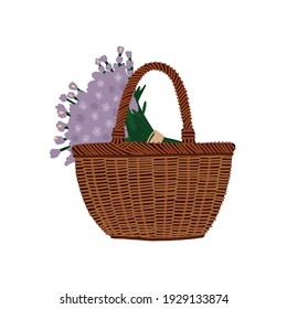 Basket with a bouquet of lavender. Vector illustration isolated in a white background