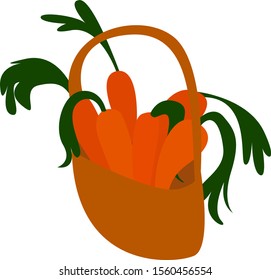Basket with carrots, illustration, vector on white background.