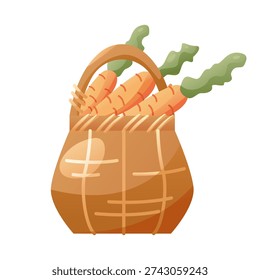 Basket of Carrots isolated on white. Harvest of vegetables. Vector illustration.