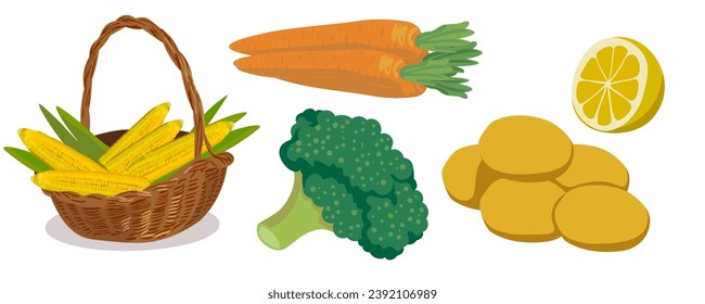 basket with corn, potatoes, broccoli, carrots, lemon in vector. a set of vegetables ingredients in a semi-realistic style. objects for booklet, advertising, packaging, sticker.