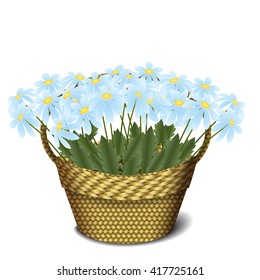 Basket with daisies