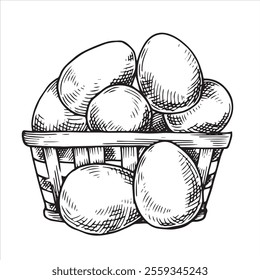 basket with eggs. Vector illustration in sketch style. farm products, vintage