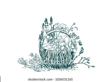basket engraved rose flowers vector illustration