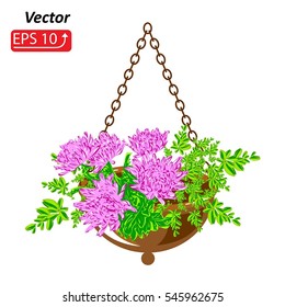Basket, flower pot with flowers asters, isolated on white background, vector illustration.