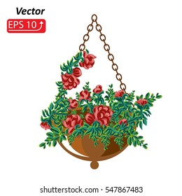 Basket, flower pot with flowers peony, isolated on white background, vector illustration.