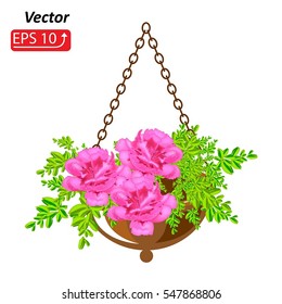 Basket, flower pot with flowers pink carnation, isolated on white background, vector illustration.