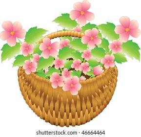 Basket with flowers