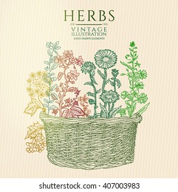 Basket of flowers vector art concept