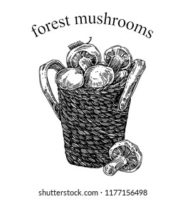 Basket of forest mushrooms. Sketch. Engraving style. Vector illustration.