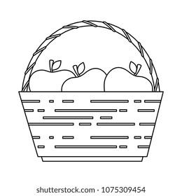 basket with fresh apples