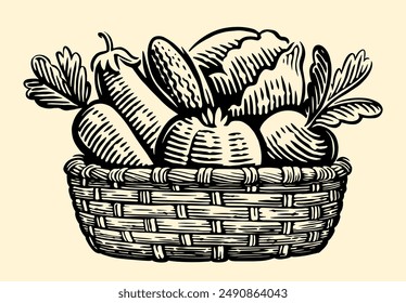 Basket with fresh vegetables sketch. Organic farm food. Vector vintage engraving illustration