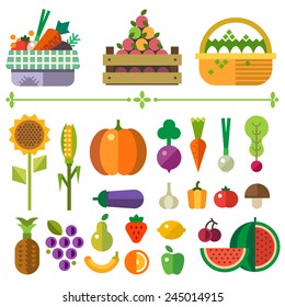 Basket with fruits and vegetables. Farm. Elements and sprites. Carrot, pumpkin, onion, tomato, pepper, pineapple, cherry, banana, grapes, apple, pear. Vector flat  illustrations