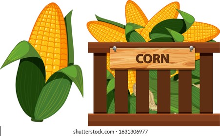 Basket full of corns on white background illustration