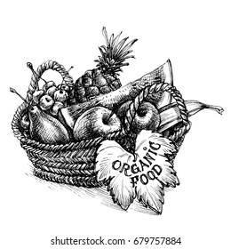 Fruits in Basket Drawing by Tanmay Singh  Fine Art America