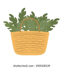 basket full of green leaves on a white background vector illustration design