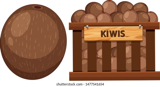 Basket full of kiwis on white background illustration