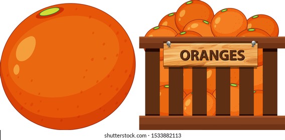 Basket full of oranges on white background illustration