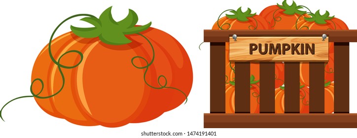 Cesta llena de calabazas en la ilustración de fondo blanco