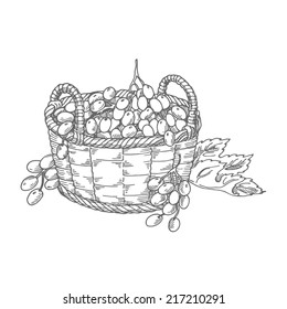 basket with grapes