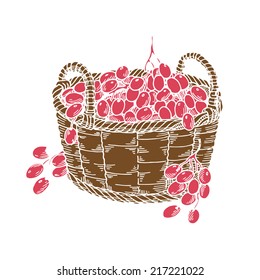 basket with grapes