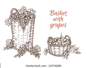 basket with grapes