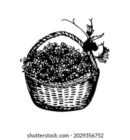 Basket with grapes in black and white. Grape harvest in the style of contour and flat graphics