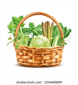 Basket with green spring vegetables and herbs isolated on white. Vector illustration.