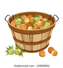 Basket with hazelnuts. Vector illustration.