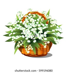 Basket with lilies of the valley isolated on white background. Vector close-up cartoon illustration.
