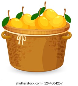 A basket of mango illustration