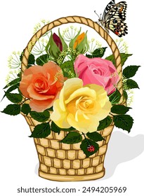 Basket with multi-colored roses.Vector illustration with multicolored roses in a wicker basket and a butterfly.