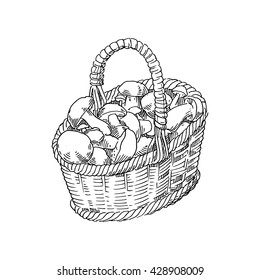 Basket with mushrooms