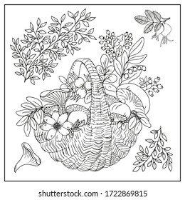 Basket with mushrooms
and berries, flower, branches are hand-draw, doodle graphic 