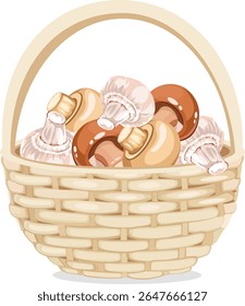 basket with mushrooms champignons vector