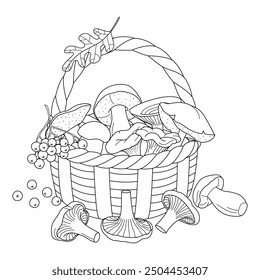 Basket with mushrooms doodle style coloring page. Hand drawn line art autumn illustration with mushrooms and berries, forest gifts. Coloring book for kids and adults. Vector illustration