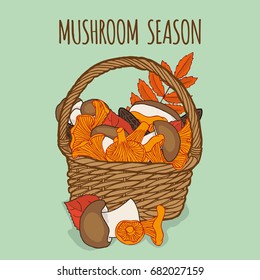 Basket with mushrooms. Hand drawn vector illustration