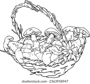 Basket with mushrooms linear drawing. For printing coloring books for children and adults. For printing on dishes, clothing and other items. Harvest, wicker old basket full of mushrooms.