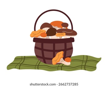 Basket with mushrooms on a blanket. Vector illustration of collected forest mushrooms. Mushroom harvest.