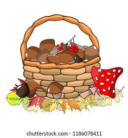 Basket with mushrooms and rowan. Autumn leaves. Vector illustration. Autumn illustration.