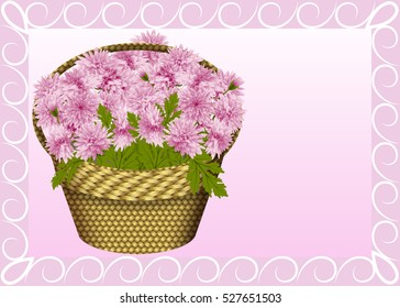Basket with pink chrysanthemums
